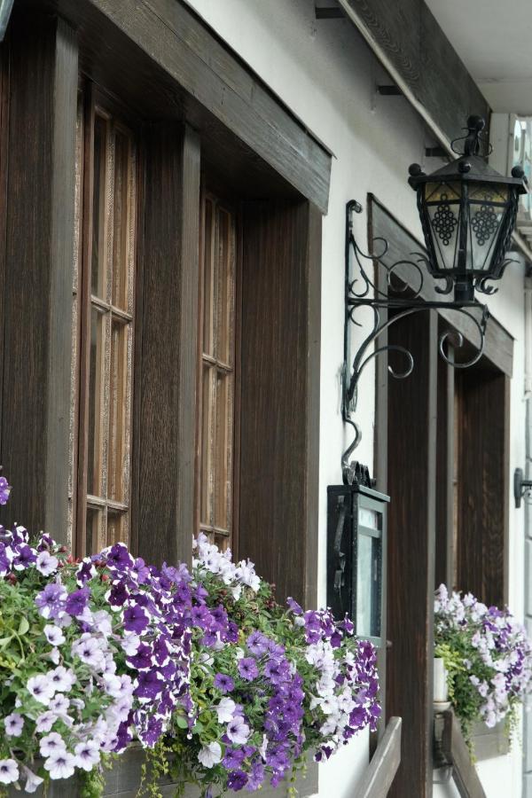 Hotel Tourist Meiringen Kültér fotó
